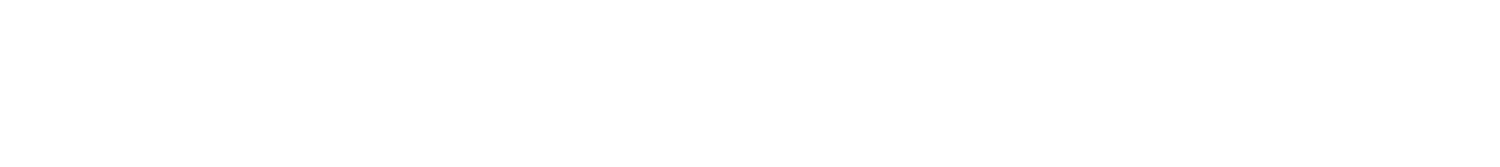 WAGENEFFEKT